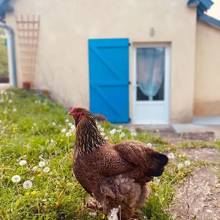 L'echappee Belle 64 * Lasseube