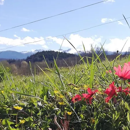 L'echappee Belle 64 Hébergement de vacances *