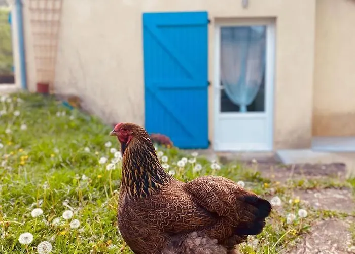 L'echappee Belle 64 * Lasseube