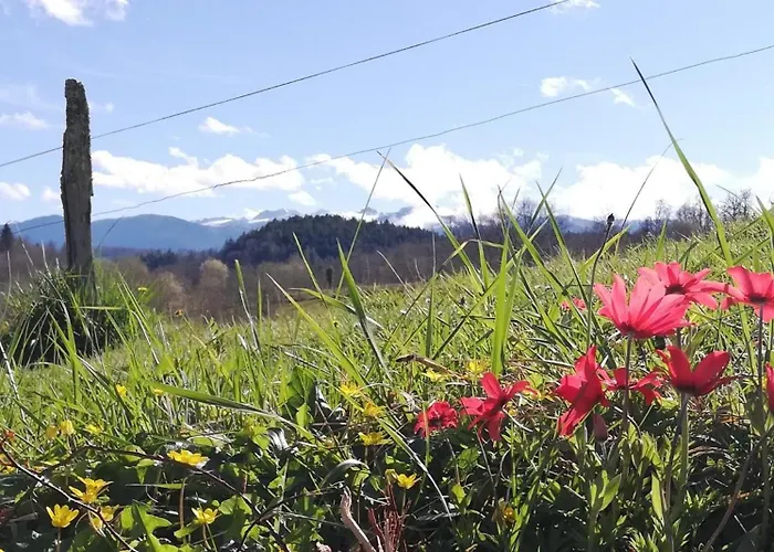 L'echappee Belle 64 Prázdninový dům *